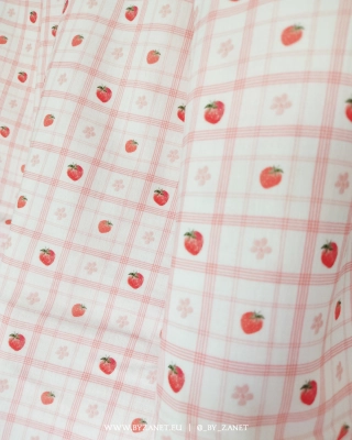 Renata's strawberry patch